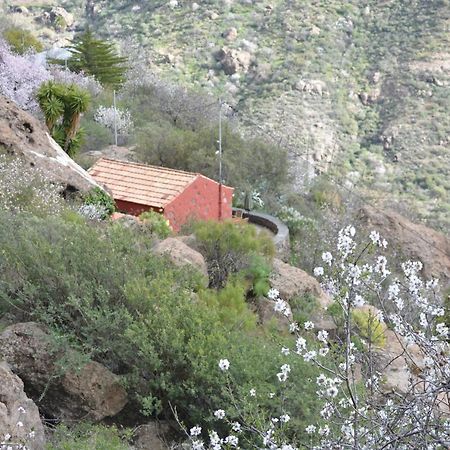 Casa Cueva El Pedregal Tejeda Tejeda (Gran Canaria) Exterior foto