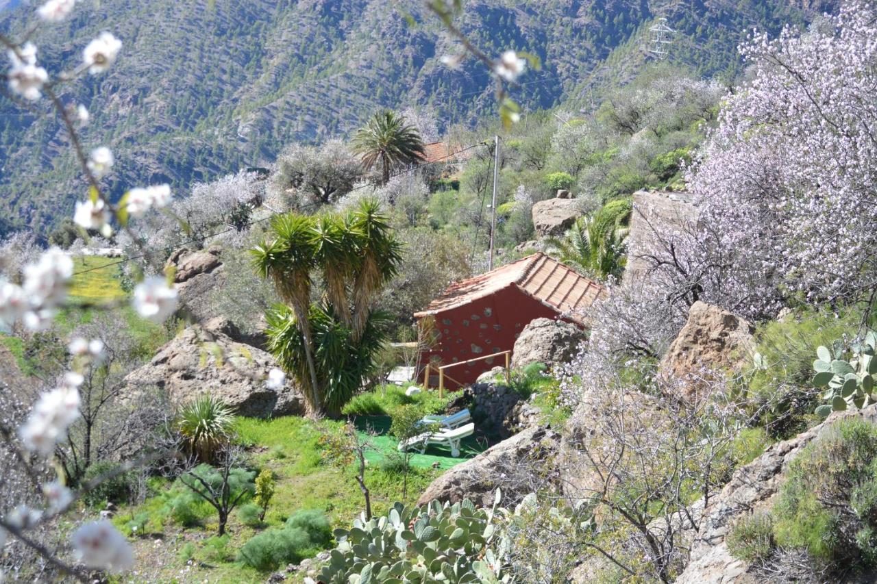 Casa Cueva El Pedregal Tejeda Tejeda (Gran Canaria) Exterior foto