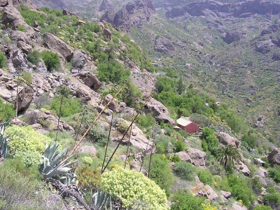 Casa Cueva El Pedregal Tejeda Tejeda (Gran Canaria) Exterior foto
